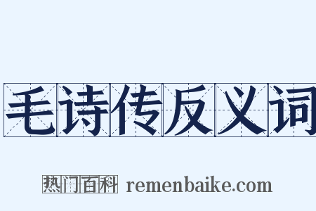 毛诗传反义词是什么意思的图片